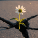 “I feel invisible as I age” – an honest, emotional blog post about what it’s really like to be seen differently in your 50s. Pin this reflection to come back to.