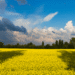 I don’t know what to do with my life – honest midlife reflection about feeling lost and searching for purpose. Pin this for encouragement.